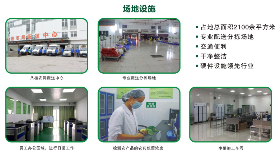 柳州八桂农网农产品批发市场中央厨房建设搭建(图3)